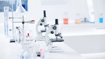 追本溯源 原發(fā)不明腫瘤診斷漫談